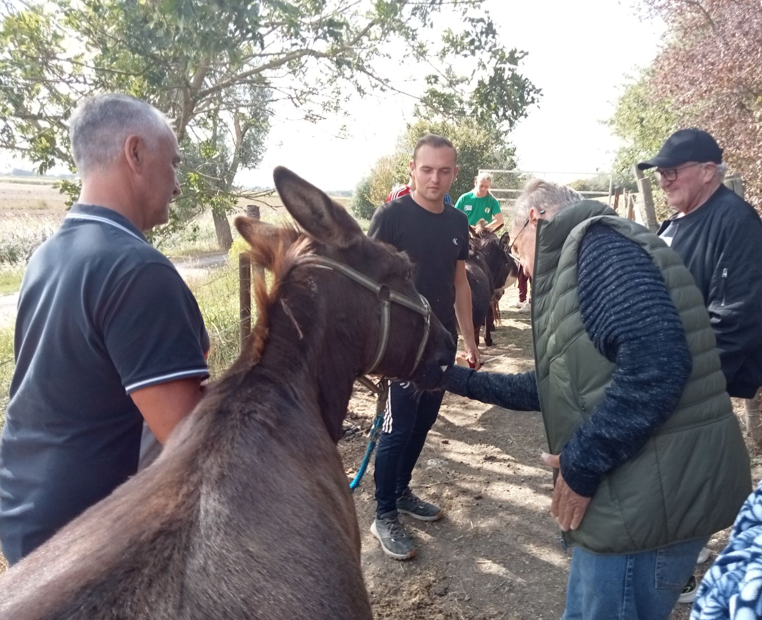 A la découverte des ânes à Warhem 