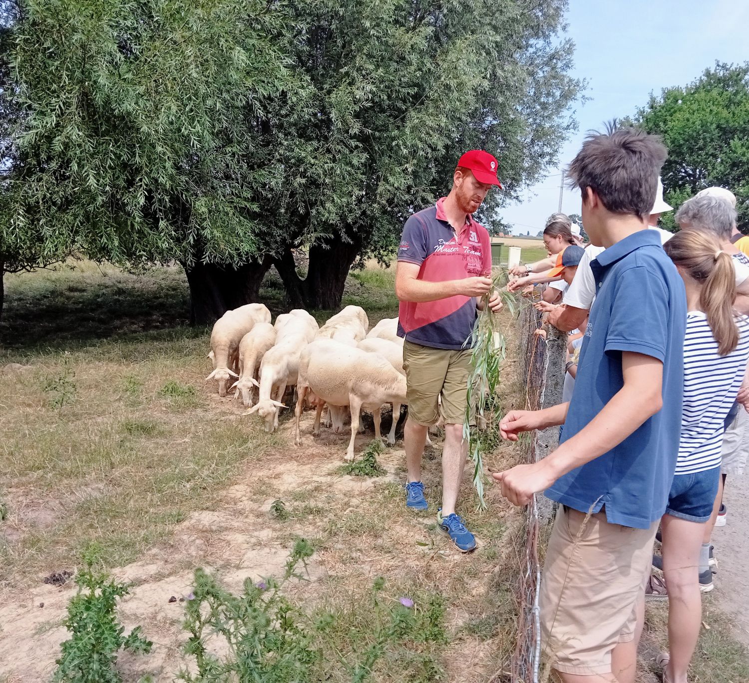 Visite Élevage de Brebis  