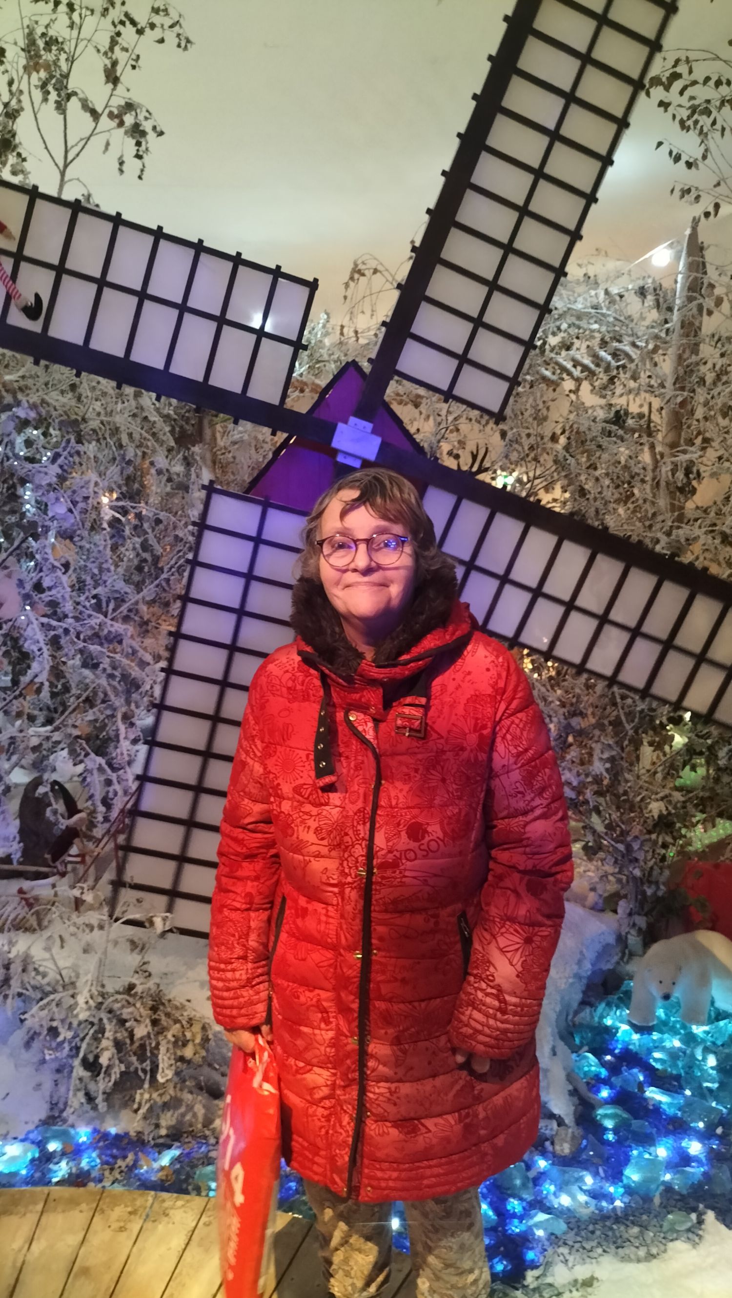 Sortie au château du père Noël et mâche de noel 