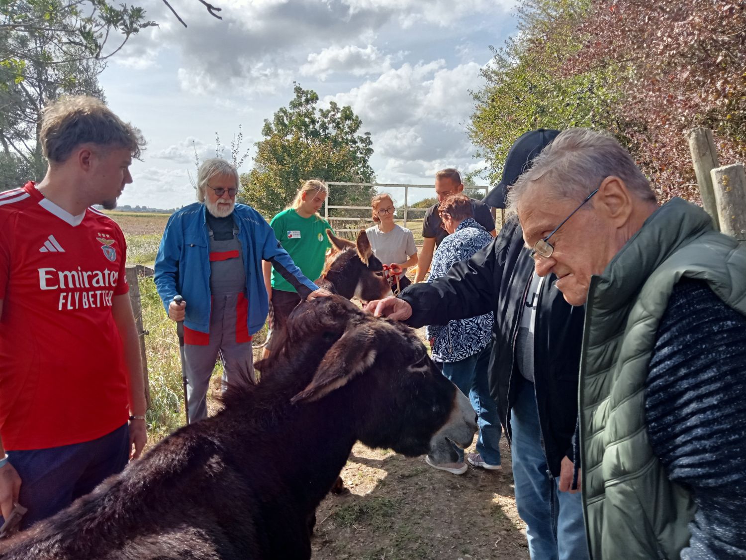 A la découverte des ânes à Warhem 