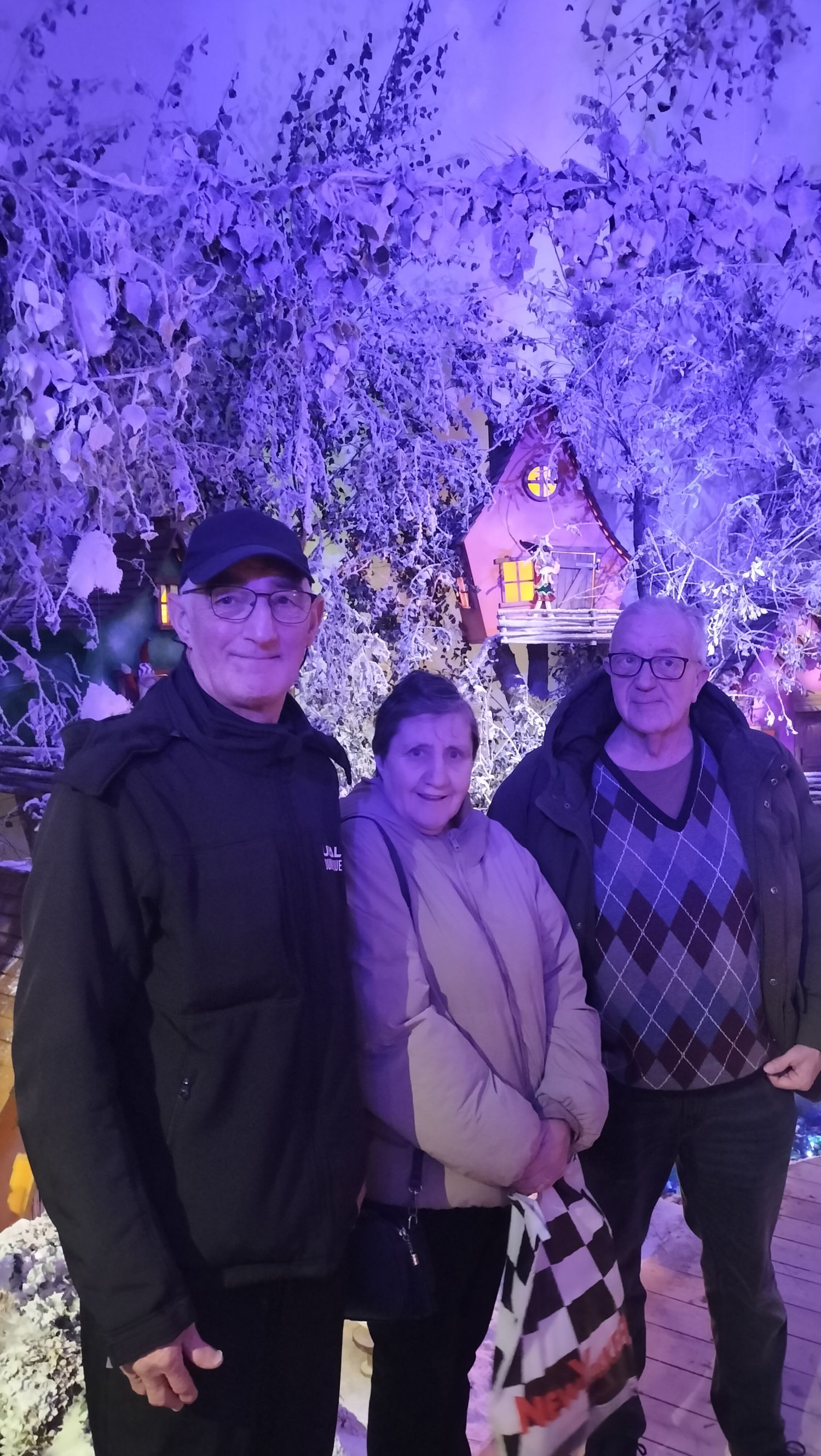 Sortie au château du père Noël et mâche de noel 