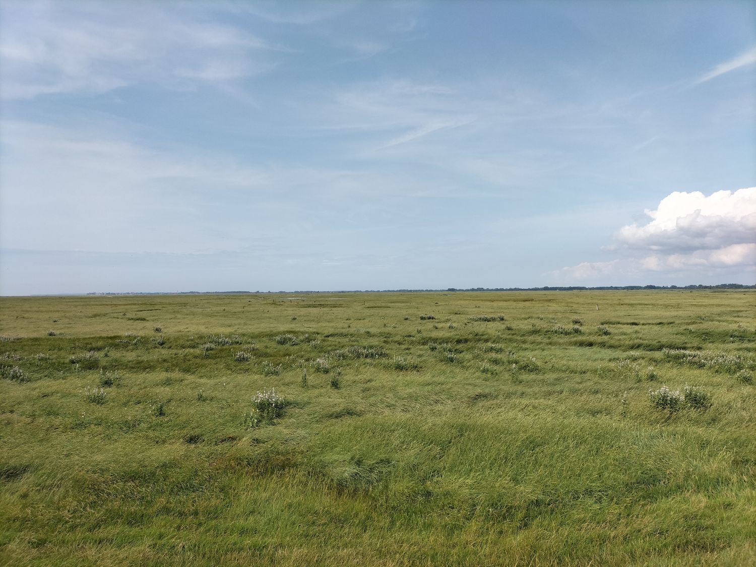 Train de la baie de somme 