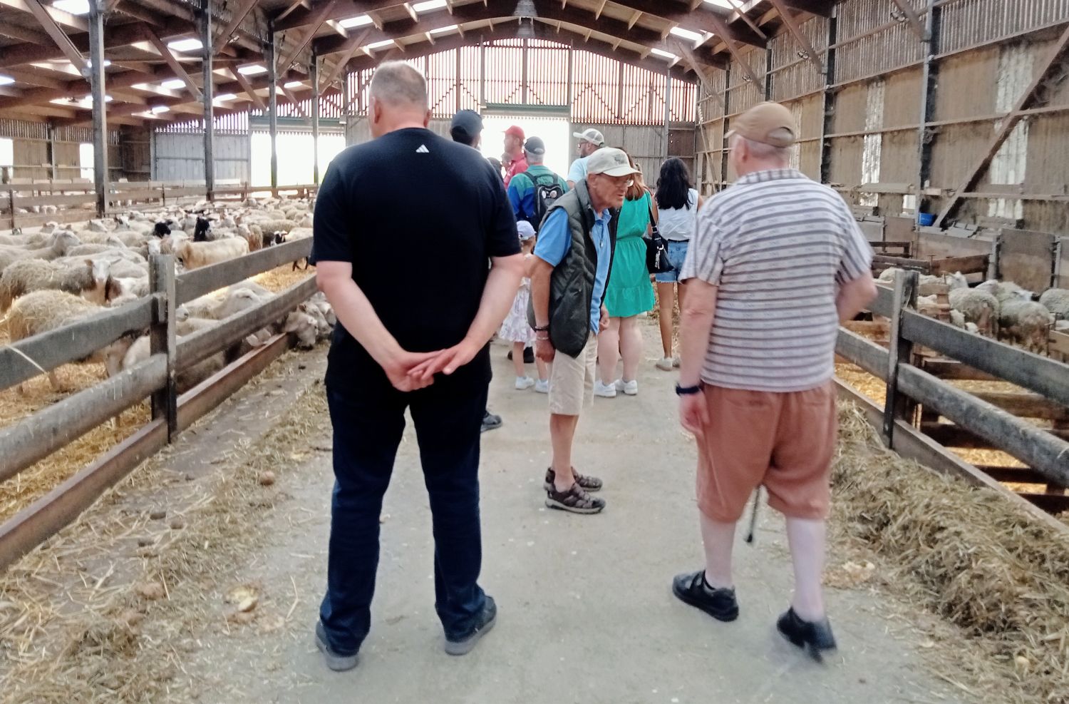 Visite Élevage de Brebis  
